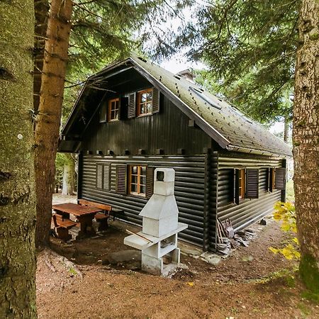 Chalet Liza & Rozi Zgornja Loznica Exterior foto
